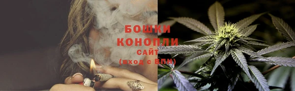 spice Богданович