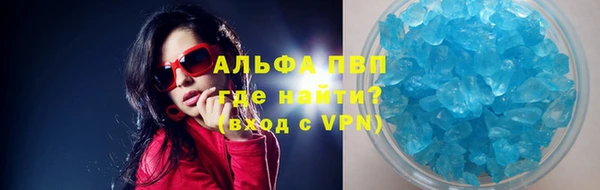 spice Богданович