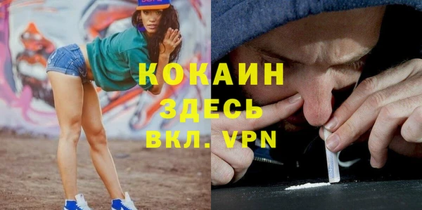 кокс Белокуриха